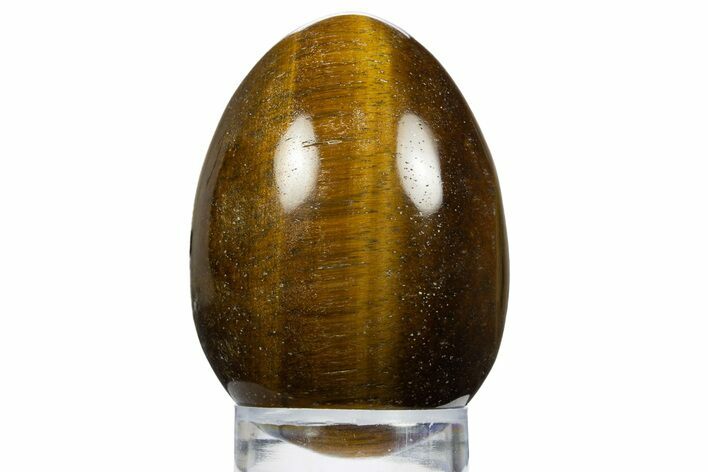 Polished Tiger's Eye Egg - South Africa #312693